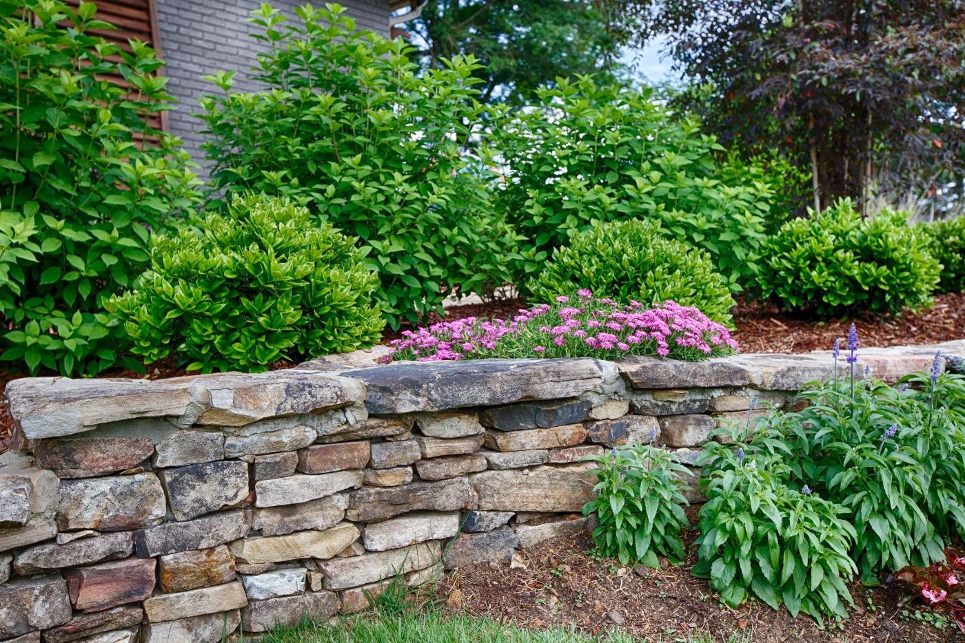 Precision Garden Bed Renovation